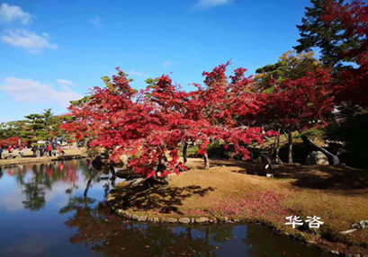 華咨公司交通工程師團隊赴江西南昌就藥材小鎮(zhèn)建設(shè)項目開展交通量現(xiàn)狀調(diào)研 華咨公司交通工程師團隊赴江西南昌就藥材小鎮(zhèn)建設(shè)項目開展交通量現(xiàn)狀調(diào)研